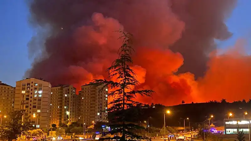Bursa'da Yangın Alarmı: Şehir Yangınlarla Sarsıldı!