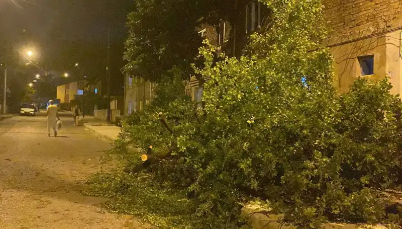 Karabük'te Fırtına: Doğa'nın Gücü Tüm Şehri Sarstı