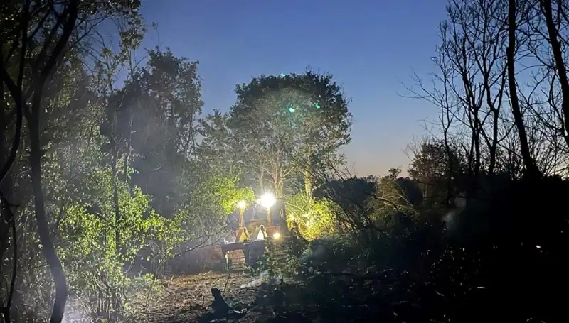 Edirne’de Eşsiz Doğa Yangınına Karşı Zorlu Mücadele Başarıyla Sonuçlandı