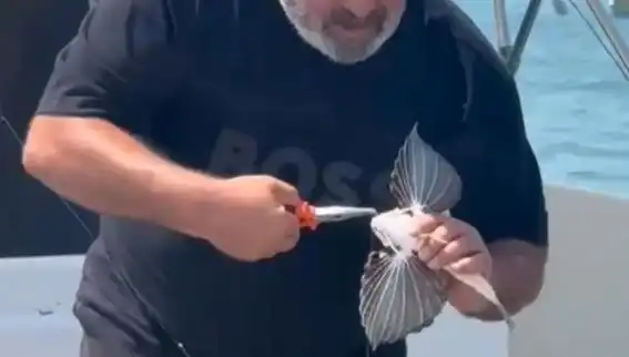Saros'ta Nadir Görülen Kırlangıç Balığı Oltaya Takıldı: Denizaltı Sırları Ortaya Çıktı