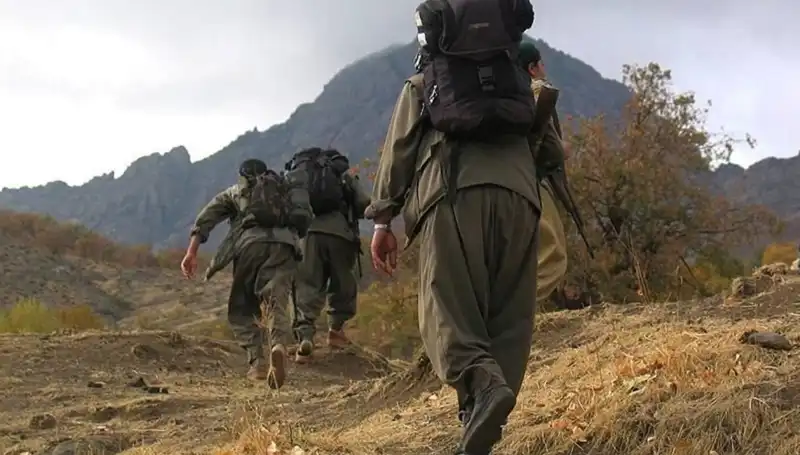Terörsüz Türkiye'nin Geleceği: Öcalan'ın Açıklamaları ve Kandil'e Yansıması