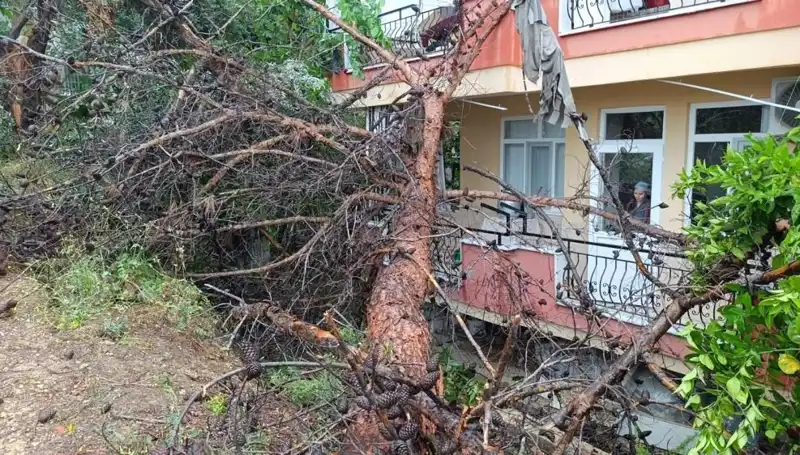 Şiddetli Yağmur, Eski Bina ile Vatandaşları Fena Yaktı!
