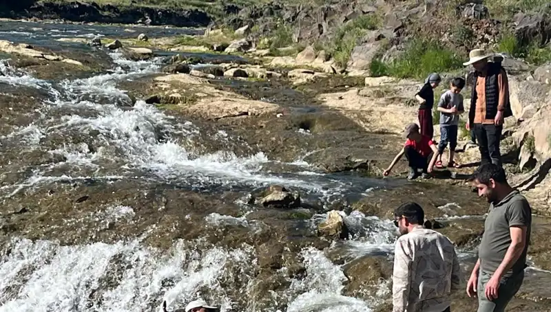 İnci Kefalinin Muhteşem Göçü: Doğa Harikası Turistleri Bekliyor