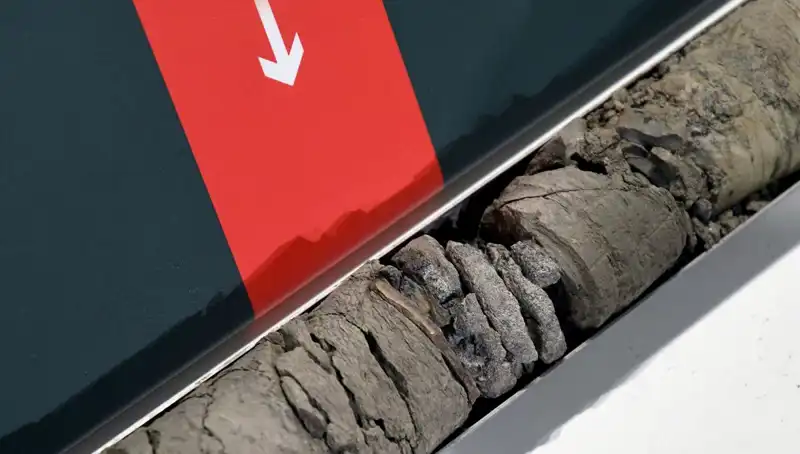 Müze Otoparkında Şaşırtıcı Dinozor Fosili Keşfi: Tarihte Yeni Bir Sayfa Açıldı