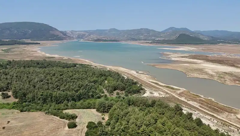 İzmir’de Tehlike Çanları Çalıyor: Yüzde 50 Düşüş Yerini Endişeye Bıraktı