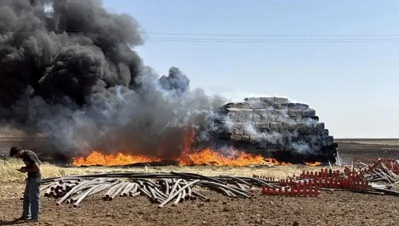 Mardin'de Anız Yangını: Doğayı Tehdit Eden Felaketin Ardındaki Sebepler