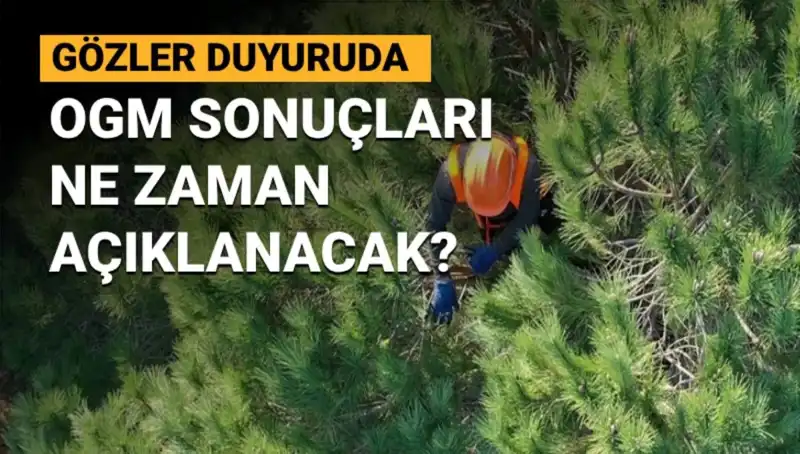 OGM Personel Alımında Sonuçlar Bekleniyor: İşte Tarihler ve Detaylar