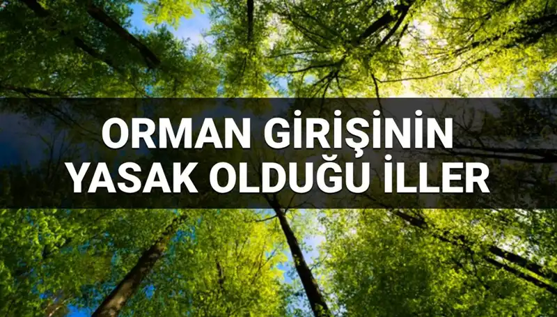 2025'te Ormanlara Girmek Yasaklanan İller: Hangi Bölgeler Etkilenecek?