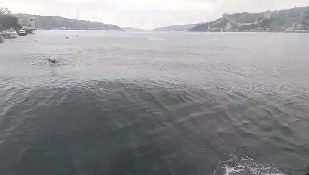 İstanbul Boğazı'nda Dalgalara Dair Gözler Alımlı Bir Seyir Sunuyor