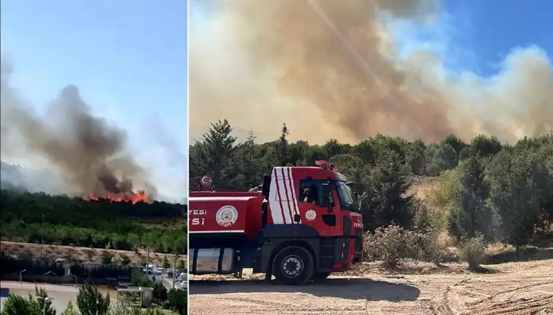 Gebze'de Kontrol Altına Almaya Çalışılan Orman Yangını Korkutuyor
