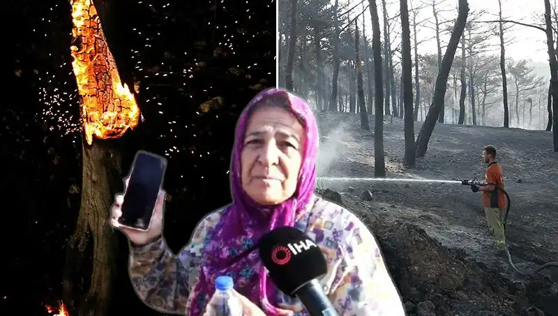 Çanakkale'deki Orman Yangınları Kontrol Altına Alındı: Kayıplar ve Umutlar