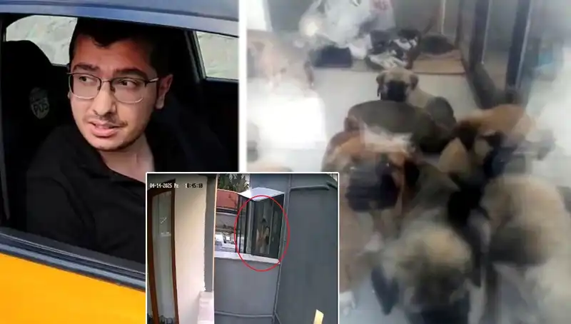 Hayvanseverleri Şok Eden Skandal: Doktorun Köpek Katliamı Ortaya Çıktı
