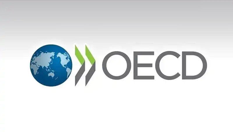 OECD'nin Türkiye İçin Büyüme Tahminleri: Neler Bekleniyor?