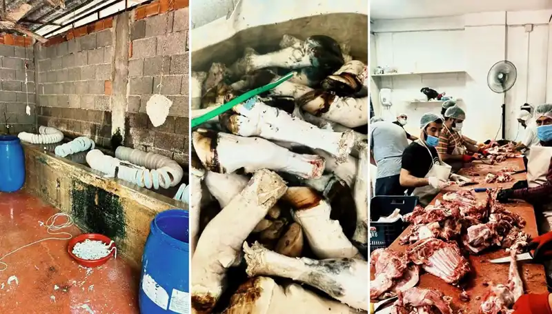 Adana'da Mide Bulandıran Skandal: Yüzlerce Kilo Paça Ele Geçirildi!