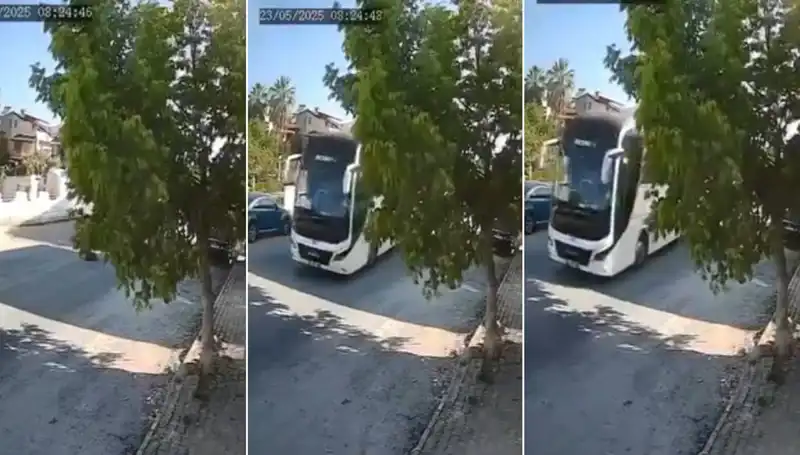 Yolda Yatan Köpeği Ezip Giden Sürücünün Tuhaf Hikayesi