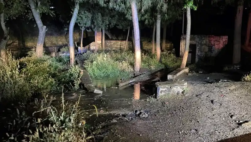 Manisa'da Parkta Gizemli Ölüm: Olayın Detayları Ortaya Çıktı